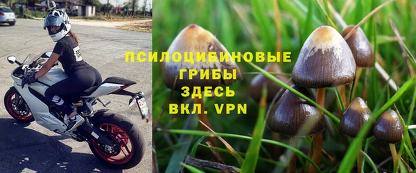таблы Аркадак